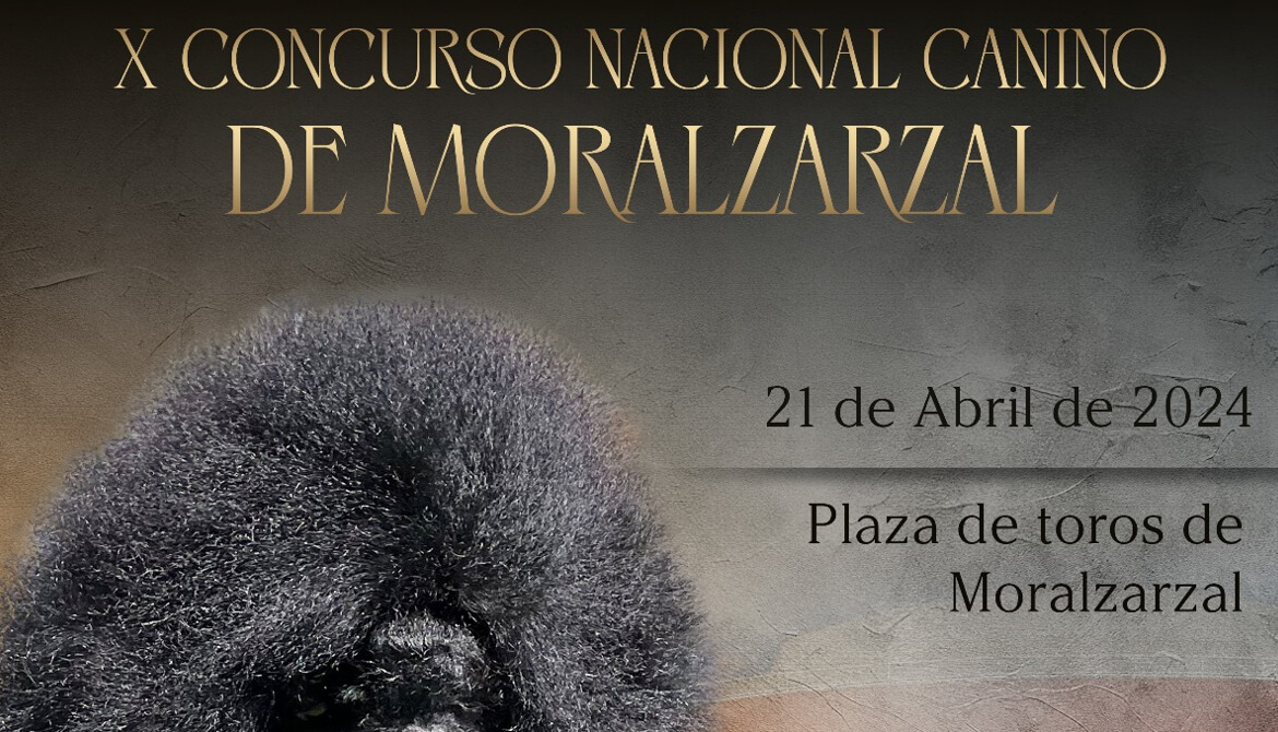 X Concurso Nacional Canino de Moralzarzal