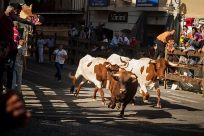 Encierros Moralzarzal 2024. Las mejores fiestas de la Sierra. La Semana Grande de la Sierra