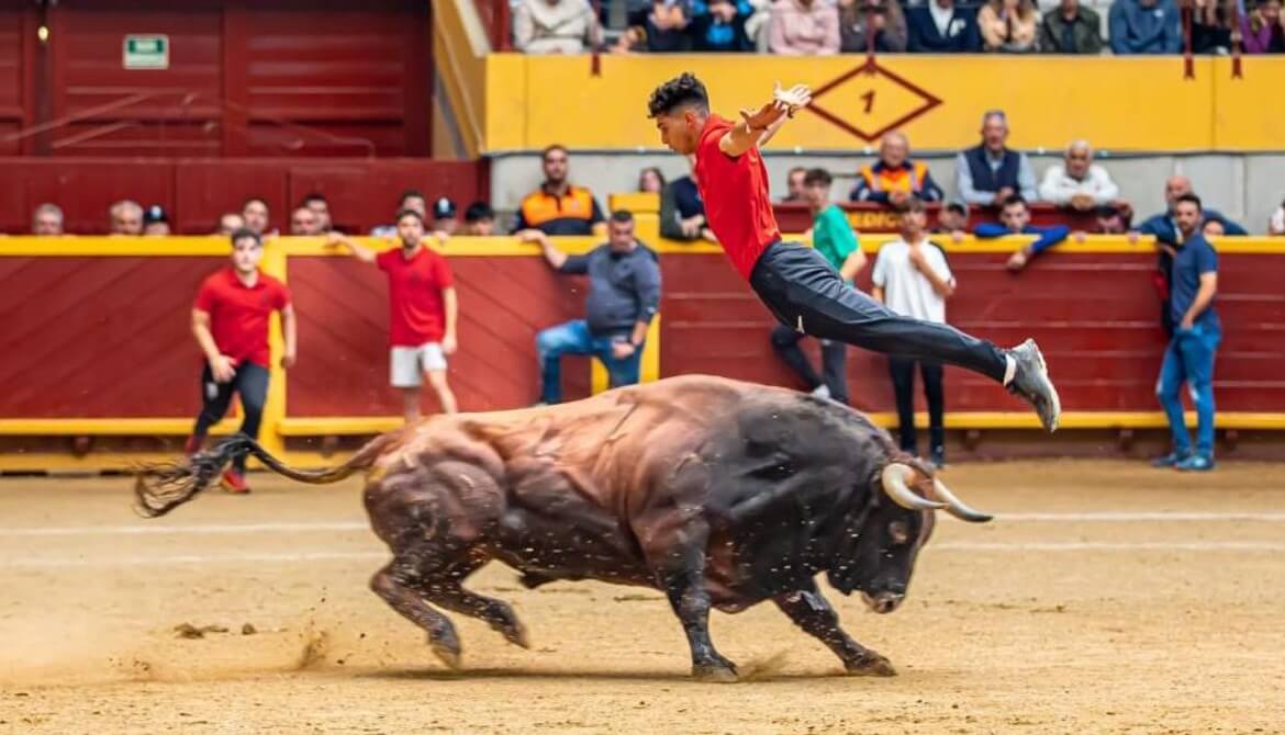 Tremendo éxito del I Toro de Frascuelo en las Fiestas Patronales de Moralzarzal